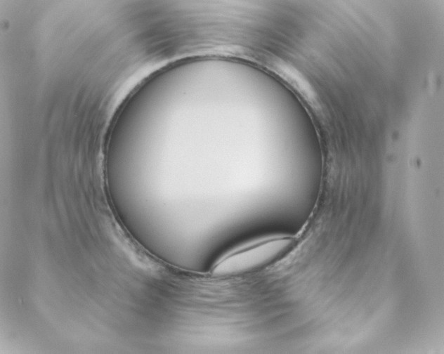 X0000088611332200706151817