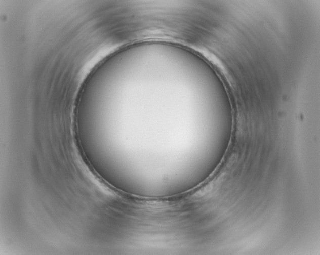 X0000088611333200706151817