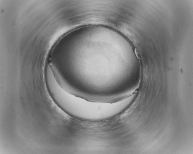 X0000088611334200706151817