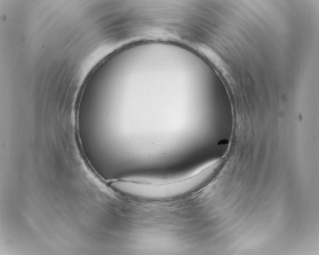 X0000088611335200706151817