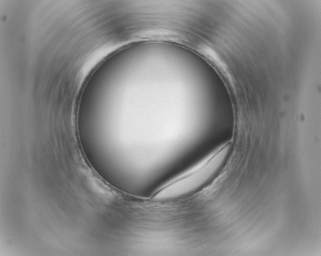 X0000088611336200706151817