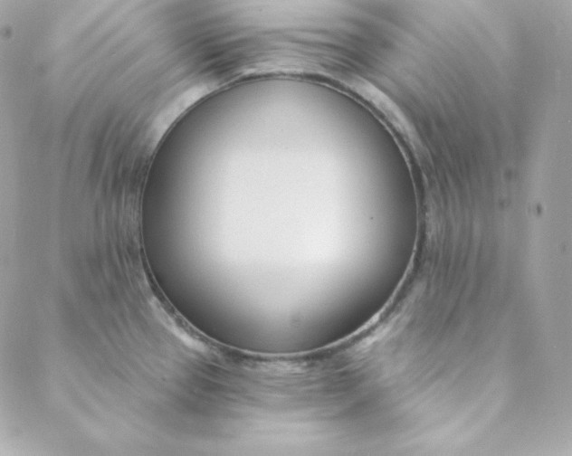 X0000088611337200706151817