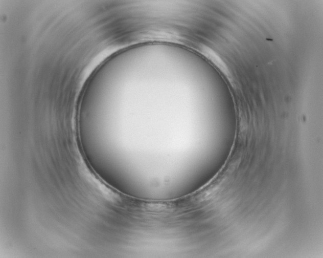 X0000088611339200706151817