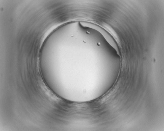 X0000088611340200706151817