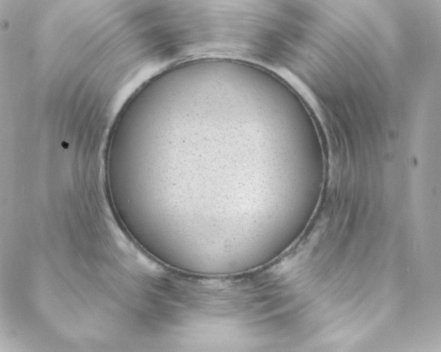 X0000088611341200706151817