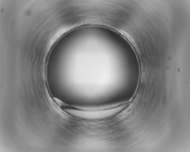 X0000088611342200706151817