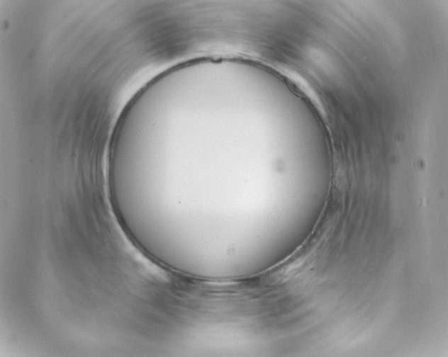 X0000088611343200706151817