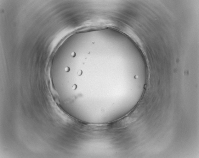 X0000088611344200706151817