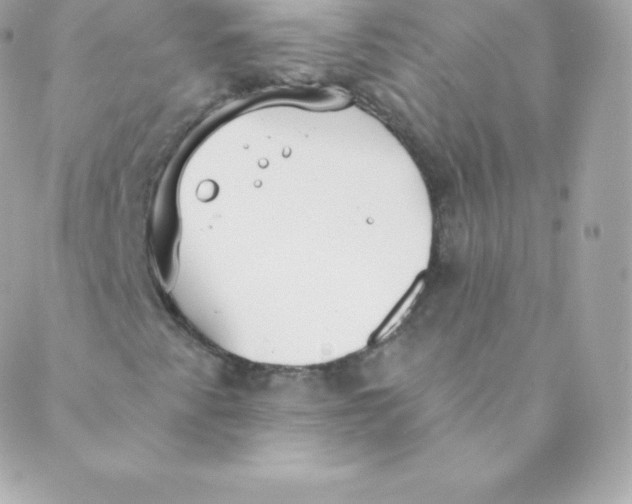 X0000088611345200706151816