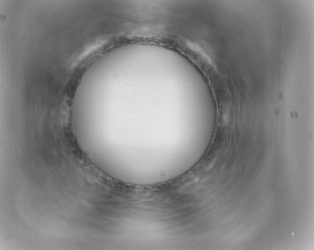 X0000088611350200706151816