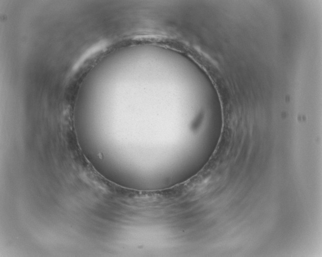 X0000088611351200706151816