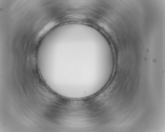 X0000088611354200706151816