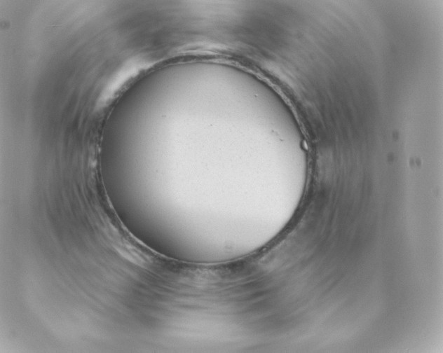 X0000088611355200706151816