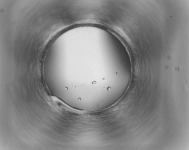 X0000088611356200706151816