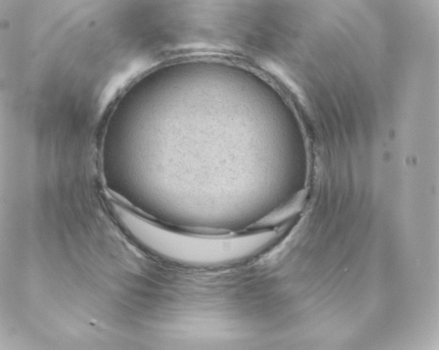 X0000088611357200706151816