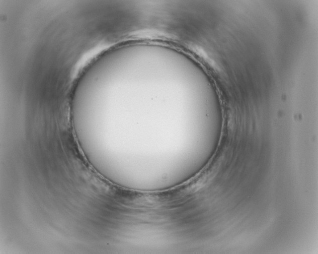 X0000088611358200706151816