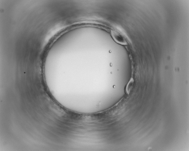 X0000088611360200706151816