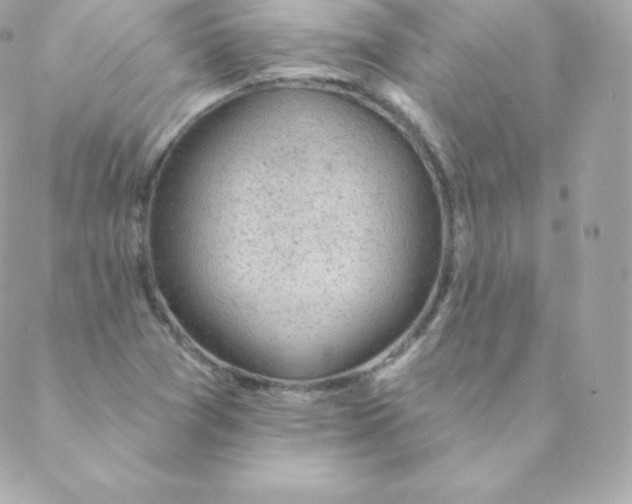 X0000088611361200706151816