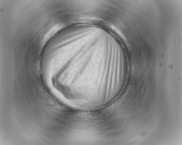 X0000088611362200706151816