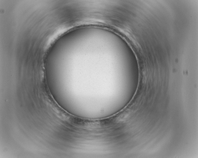 X0000088611363200706151816