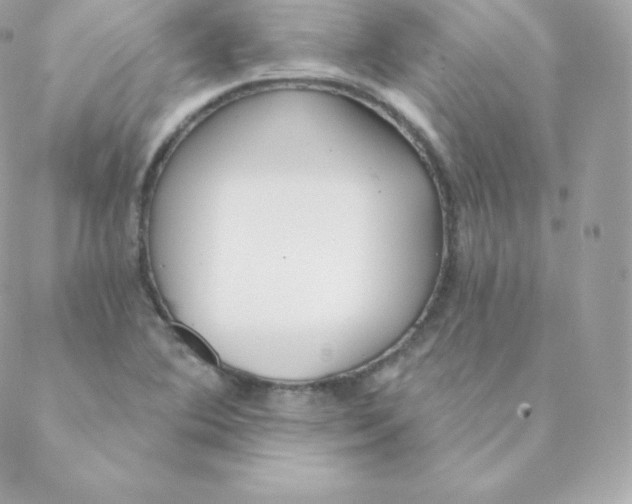 X0000088611364200706151816