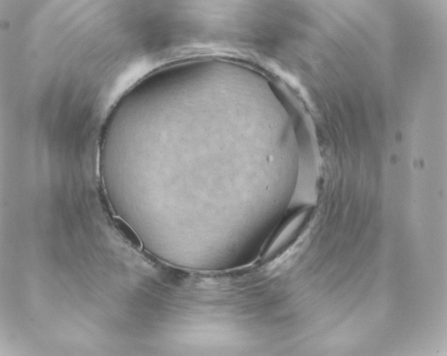 X0000088611365200706151816