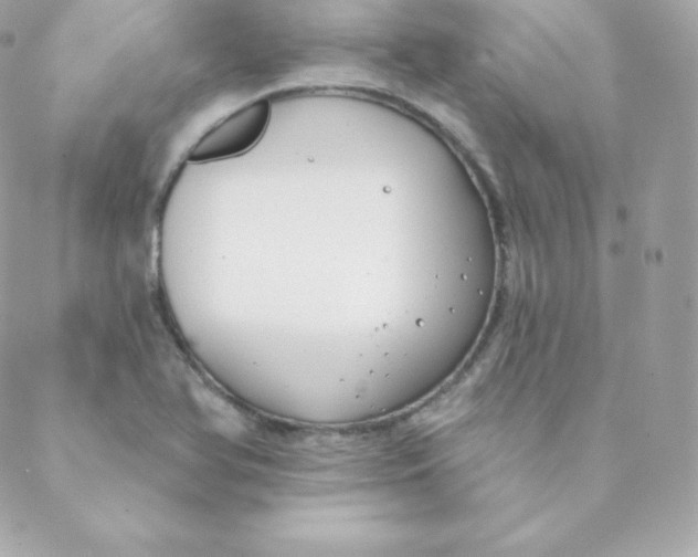 X0000088611366200706151816