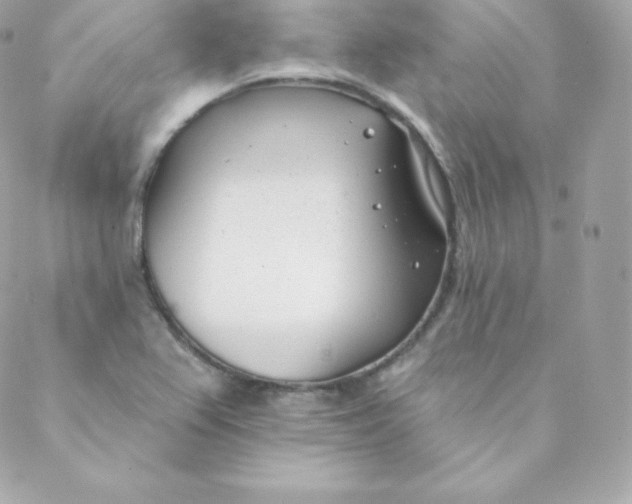 X0000088611367200706151816