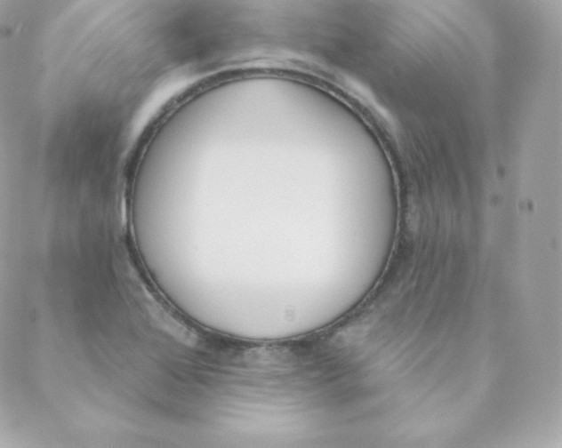 X0000088611368200706151816