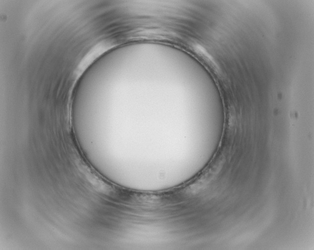 X0000088611370200706151816