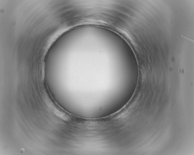 X0000088611371200706151816