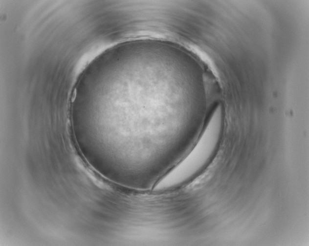 X0000088611373200706151816