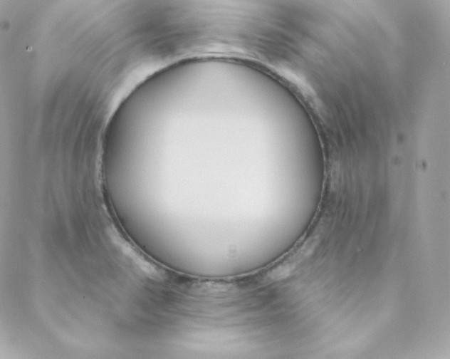 X0000088611374200706151816