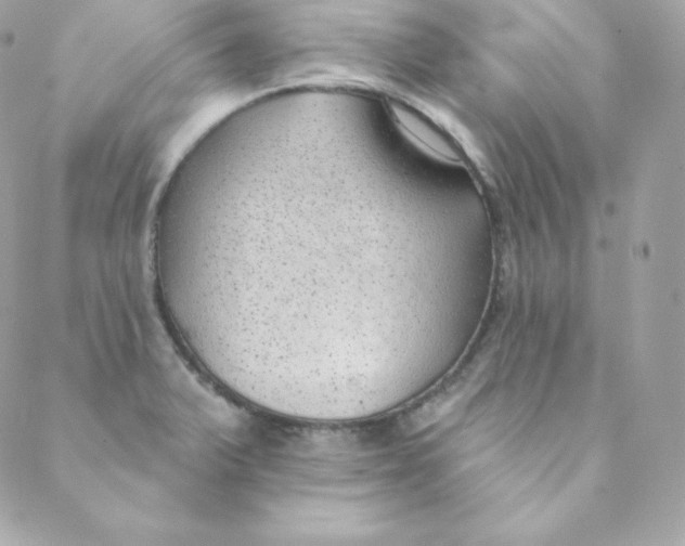 X0000088611375200706151816