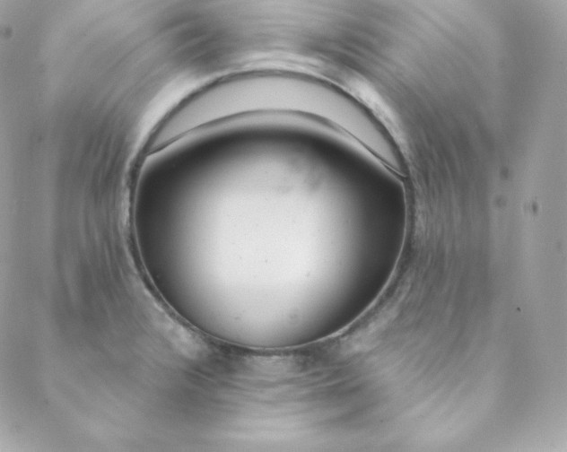 X0000088611376200706151816