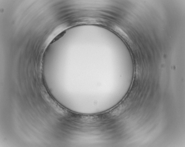 X0000088611378200706151816