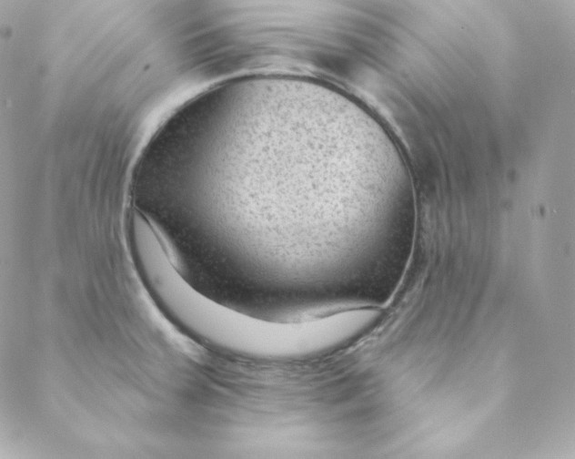 X0000088611379200706151816