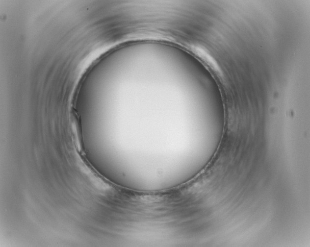 X0000088611380200706151816