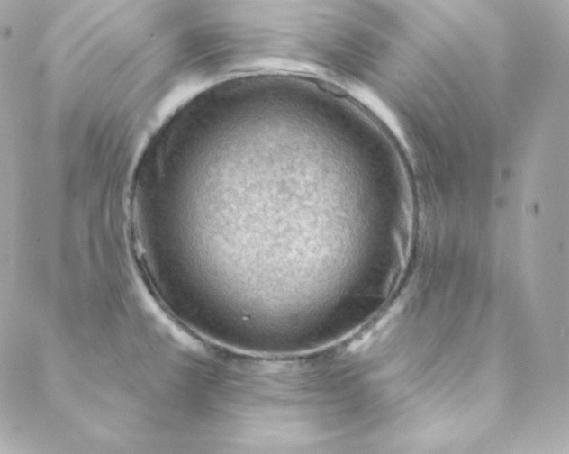 X0000088611381200706151816