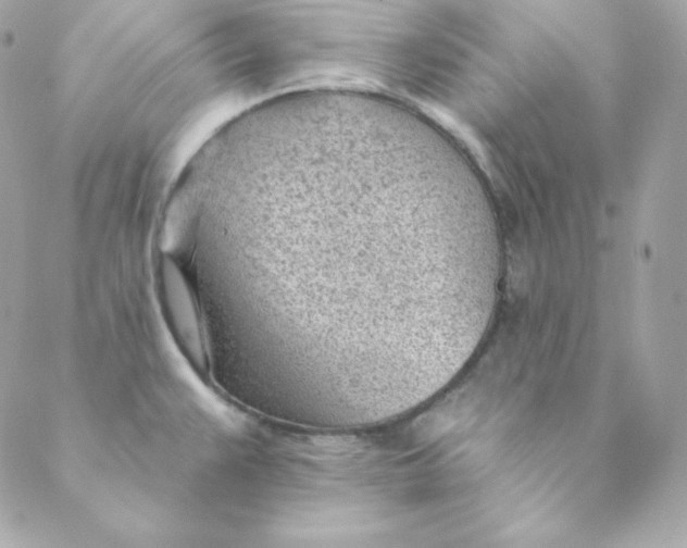 X0000088611383200706151816