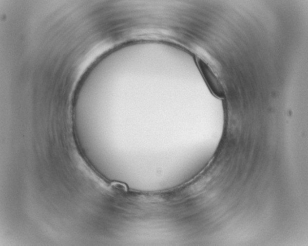 X0000088611384200706151816