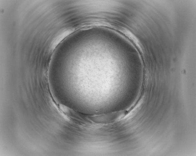 X0000088611385200706151816