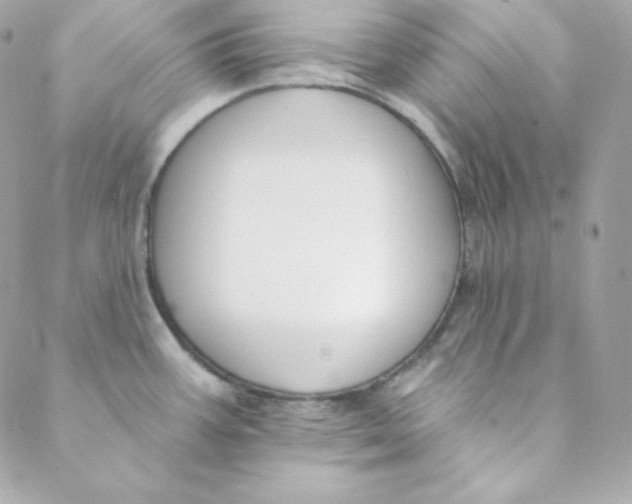 X0000088611387200706151816