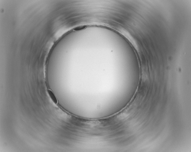 X0000088611388200706151816