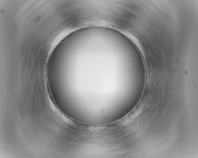 X0000088611389200706151816