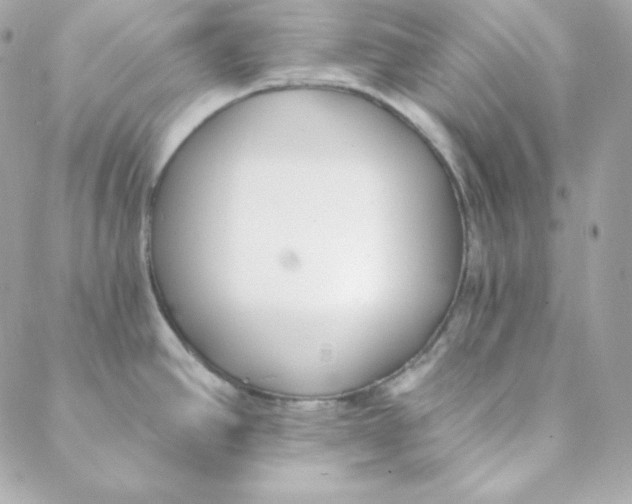 X0000088611390200706151816