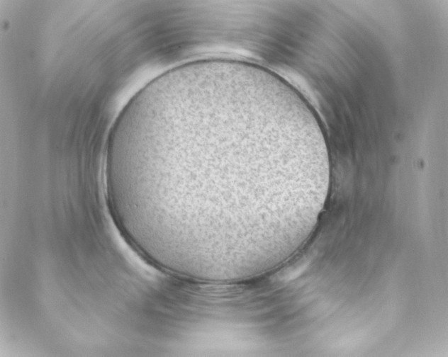 X0000088611391200706151816