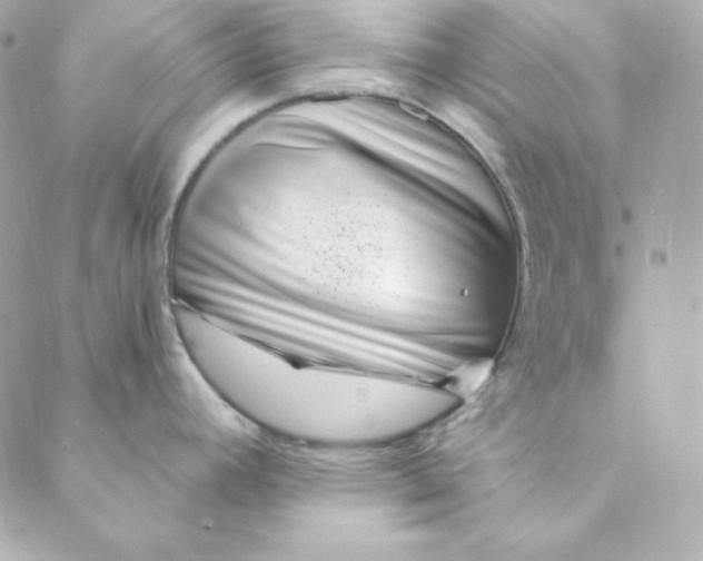 X0000088611392200706151816