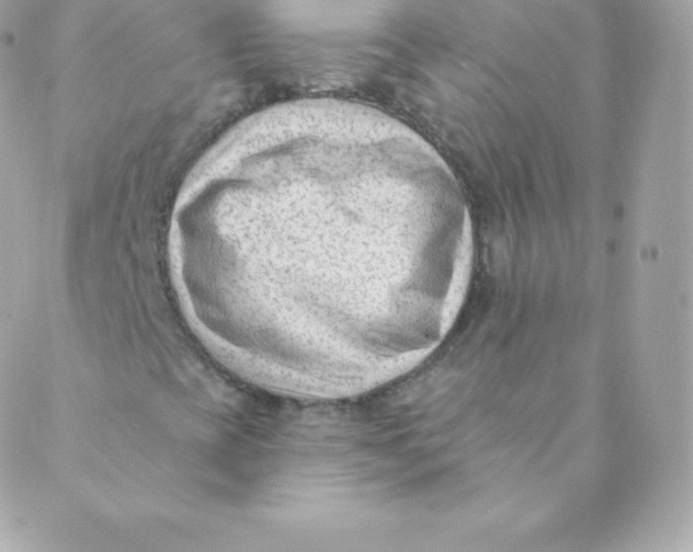 X0000088611393200706151815