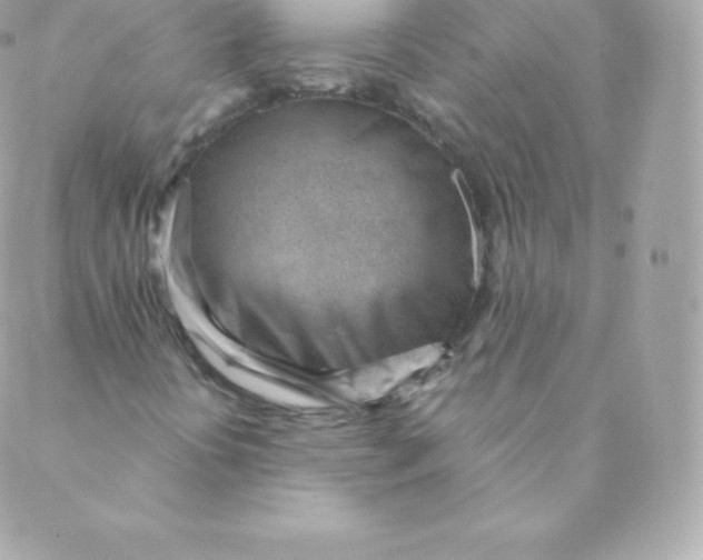 X0000088611394200706151815